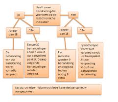 chronische lijst fysiotherapie