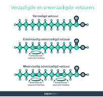 verzadigde en onverzadigde vetten