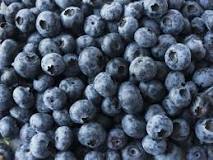 blauwe bessen gezond