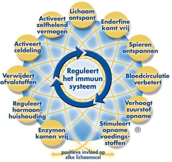 thuiszorg healing touch