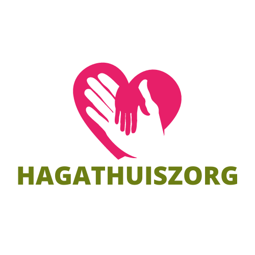 havik thuiszorg